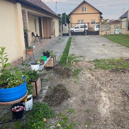 クルージュ＝ナポカ Casa Ionelaヴィラ エクステリア 写真
