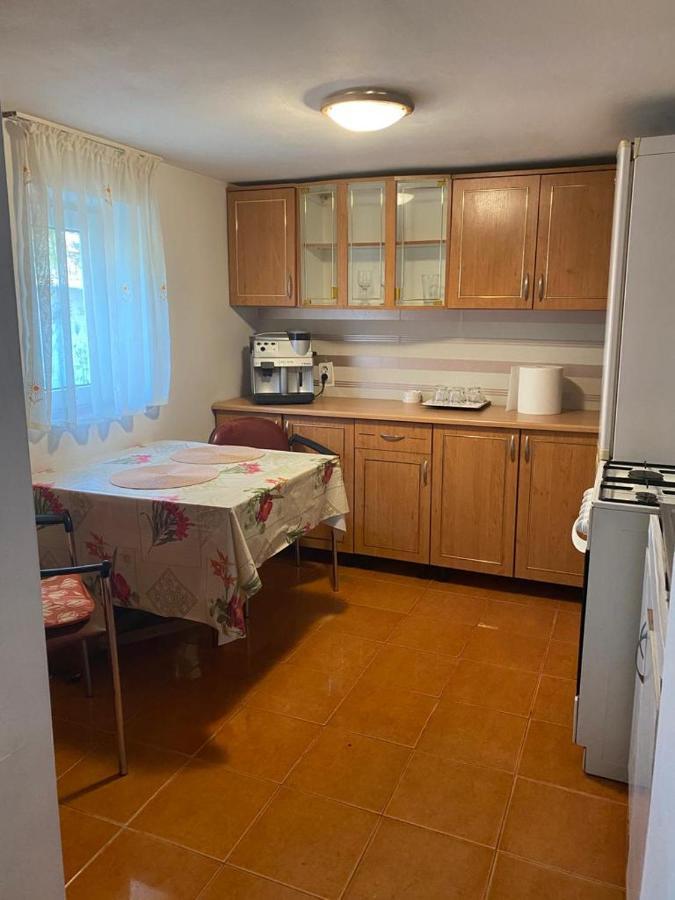 クルージュ＝ナポカ Casa Ionelaヴィラ エクステリア 写真