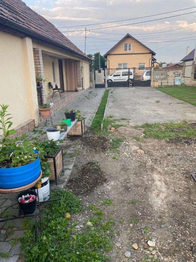 クルージュ＝ナポカ Casa Ionelaヴィラ エクステリア 写真